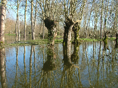 gites chambres d'hotes embarcadere marais poitevin