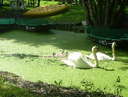 gites chambres d'hotes embarcadere marais poitevin