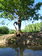 gites chambres d'hotes embarcadere marais poitevin